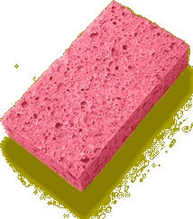 sponge